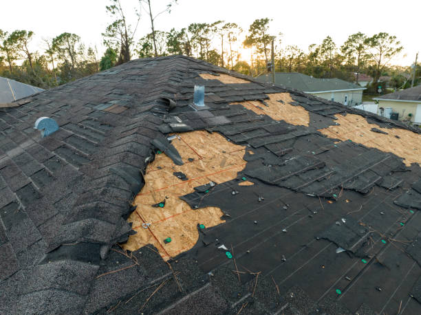 Best Roof Leak Repair  in Center Line, MI